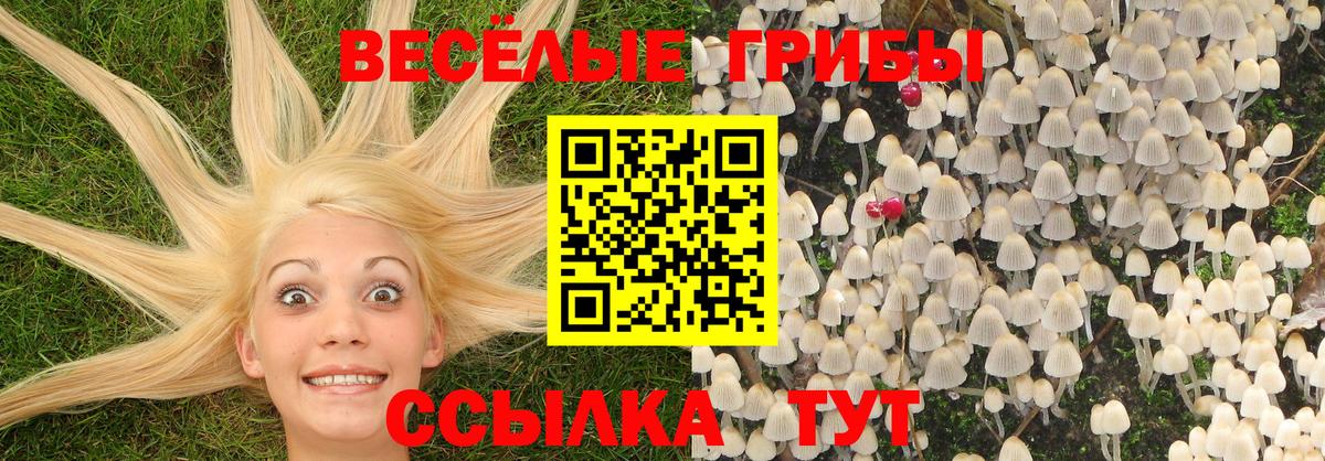 Псилоцибиновые грибы MAGIC MUSHROOMS Баксан