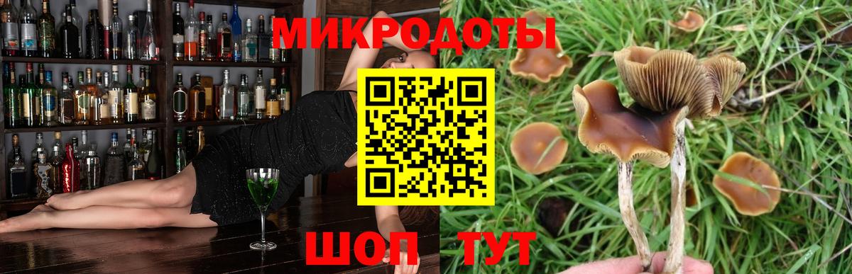 Баксан  Псилоцибиновые грибы мухоморы  Вход с VPN 