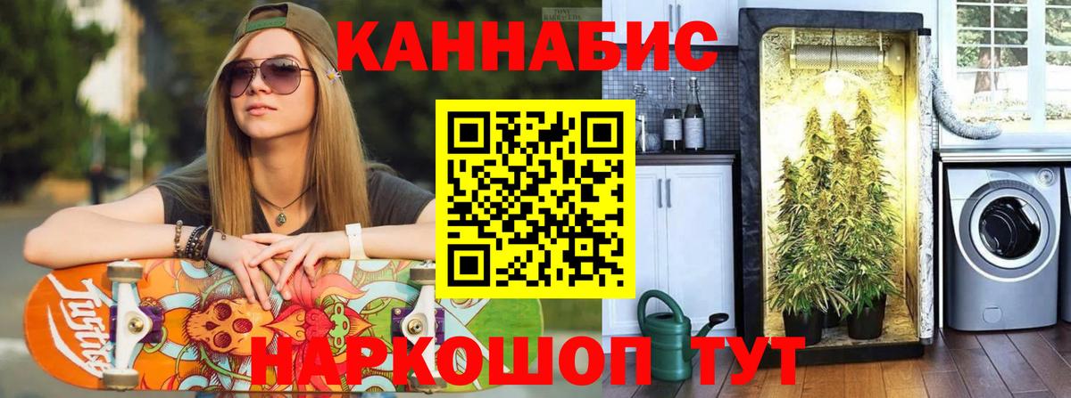 Бошки марихуана сатива Баксан